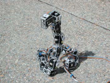 Robot éducatif GENERIQUE Simulation Des Animaux de Haute Tarentule